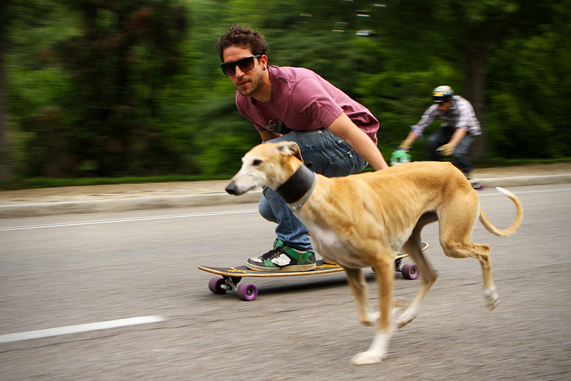 perro-paseo-patin-parque