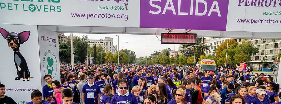 perroton salida en madrid 2016