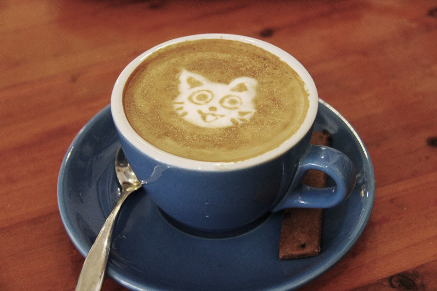 cafe