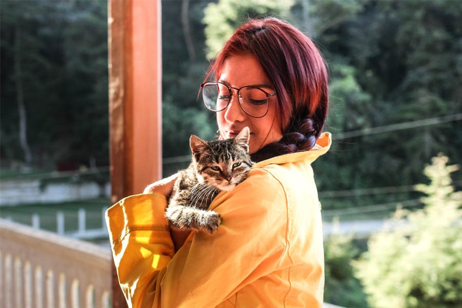¿Qué mascota deberías tener según tu personalidad?